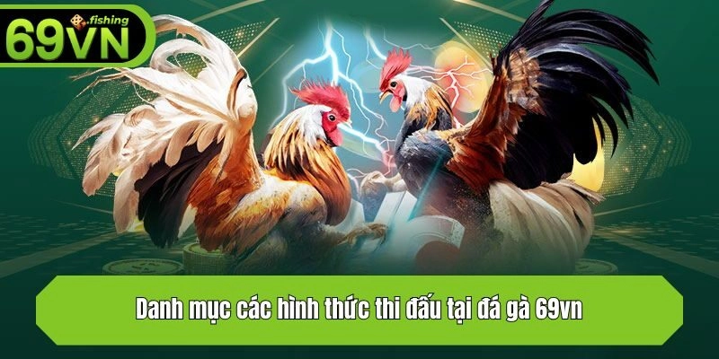 Danh mục các hình thức thi đấu tại đá gà 69vn