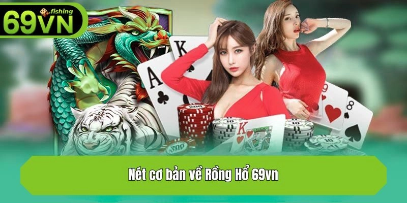 Nét cơ bản về Rồng Hổ 69vn
