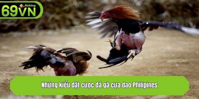 Những kiểu đặt cược đá gà cựa dao Philipines